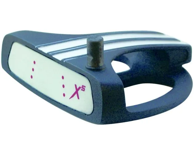X5 Extreme Mallet Putter Head